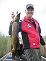 Lisj�n i dalarna. 2,8 kg