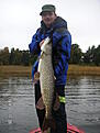 7.8Kg