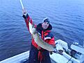 gadda  7kg fr�n Ekoln h�sten 2007