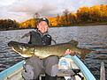 Storg�ddan tisdagen den 21 oktober 2008......OBS kolla bloggen = schatzisfiske.blogg.se