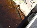 DSCF2753