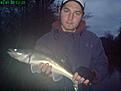 Bild 063