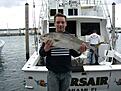 fin fisk det �r en kungsmakrill va