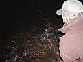 IMG 0255