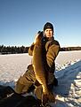 11,9 kg/ Ismete