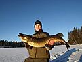 11,9 kg/ Ismete