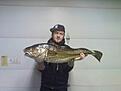Torsk 31-01-09