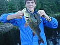 1.5 kg 50 cm
fin abborre vi fick den i somras