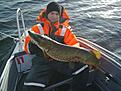 G�dda 8,42kg