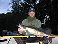 Bild 292 6 kilos g�s Testebo�n,Fl�tmete levande m�rt. Den hade inte en suck mot mitt 110gr Tica pike.Som jag f�r�vrigt framh�ller som det b�sta g�ddsp�t som finns att f� f�r 900kr,Ett l�tt sp� med j�vulsk ryggrad.L�ttare �n Savagear MP, vilket ox� e ett supersp� men Tica e snyggare;) och liiite b�ttre..K�p det!