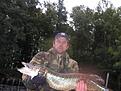 Bild 302 Runt 5kg eller s� l�ste jag av v�gen helt galet.   Den ser st�rre ut;) Testebo�n.Fl�tmete levande m�rt.