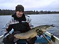 Davidstorp 8,4 kg