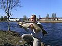 G�dda nr 2. 107 cm 8300 g