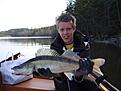 st�rsta g�sen 3,2 kilo