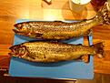 2 fina �ringar fr�n kullsj�n kn�ckte n�stan mitt super klena sp�