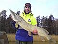 Polarens PB (vet ej hur mycket den v�gde men stor var den)