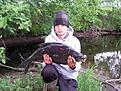 Foto0028