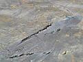 PO20090605 0056
