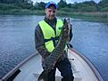 2009-06 G�dda 4.8kg smakade p� savagegear jigg