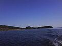 fiske