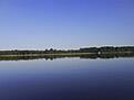 Fiske