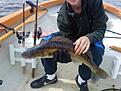 min son med en g�s ca 3 kg