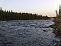 kl 4 p� morgonen.