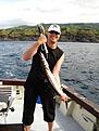 Barracuda p� azorerna