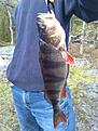 Bild0046
