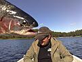J�tten �r en mardr�m som jag hade i natt om en j�tte fisk som tycker mer om att �ta upp mig �n tugga p� mina spinnare och kustdrag.