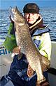 8,5kg 108cm!!