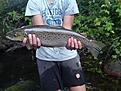 DSC00034