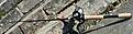 Troms� Light Tackel