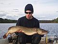 G�dda p� 8 kg prick
Betet var en Hybrida twitchbait