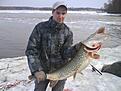 G�dda 9.5 kg!

Fick precis n�r isen sl�ppt p� skeddrag!