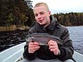 Polarn med en liten b�ge p� 0,9 kg