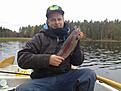 fin b�ge i �rsj�n 1,2kg