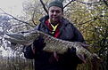 Min super g�dda 2