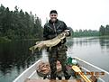 En liten madam p� 8 kg
