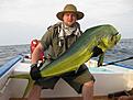 dorado