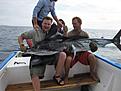 stript marlin