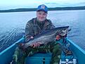 �ring (sommarfiske)