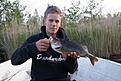 Daniels abborre, 975g-34cm. Rappala Minnow Spoon