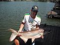 Fisk nummer 5 Mekong Catfish 19,75kg