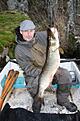 IMG 2103