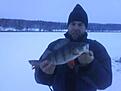 En borre p� 0.8 kg. �ven den p� angling