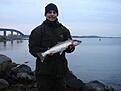 �ring premi�r p� h�n�. 1:a Aprill 54cm. 1,4kg