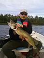 5,5 kilo ungef�r