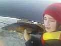 Andra fisken i �r!

fick en 3 kg g�dda innan med men har ingen bild!
jag �r 13 �r om ni undrar och gillar fiske,

�r den fin?