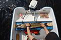 Seger g�ddan av Tisnarhugget 2010 :D 7.2kg och 104 cm l�ng! Team Skitfiske